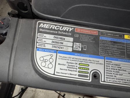 Chaparral 317 SSX image