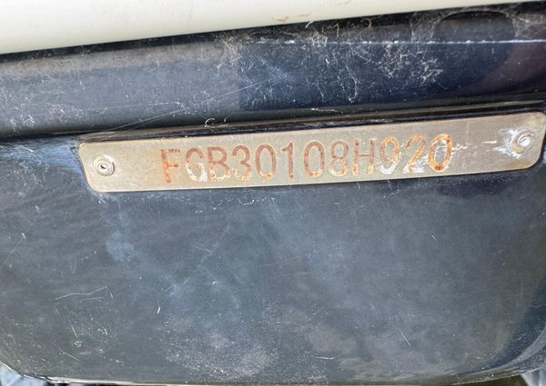 Chaparral 317 SSX image