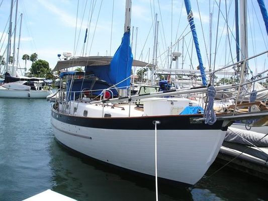 Young Sun Bluewater Cruiser 35 - main image