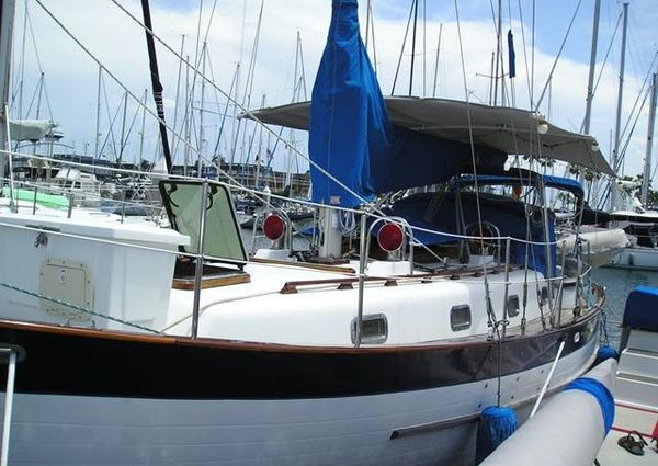 Young-sun BLUEWATER-CRUISER-35 image