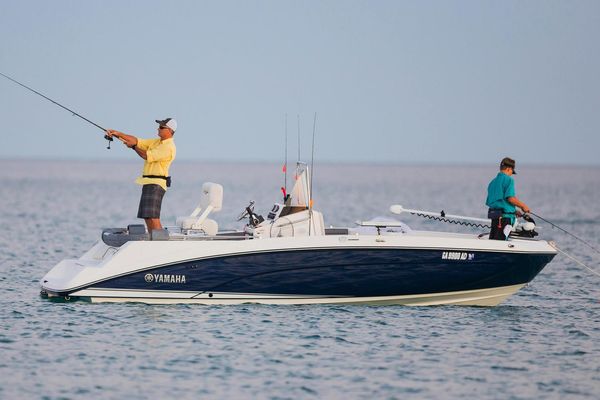 Yamaha 210 FSH Deluxe - main image