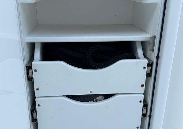 Sea-pro 320-DLX-CENTER-CONSOLE image