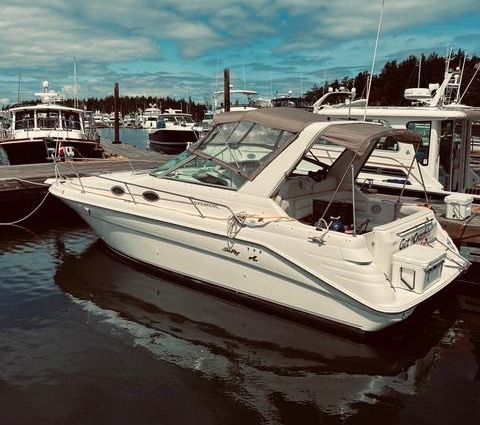 Sea-ray 290-SUNDANCER image