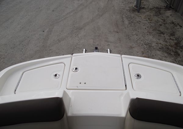 Bayliner 190-DECK-BOAT image