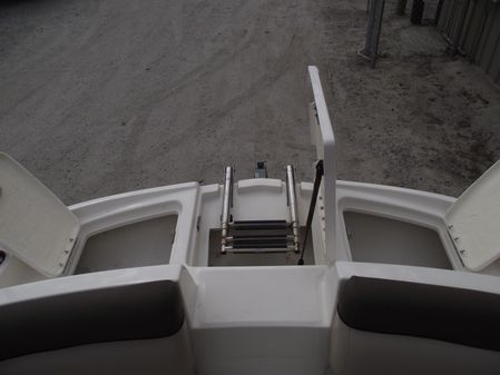 Bayliner 190-DECK-BOAT image