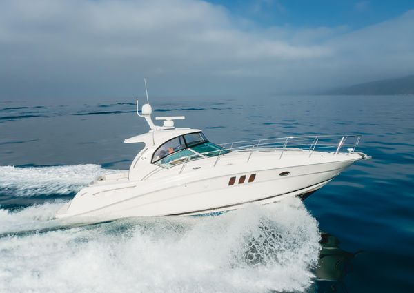 Sea Ray 40 Sundancer image