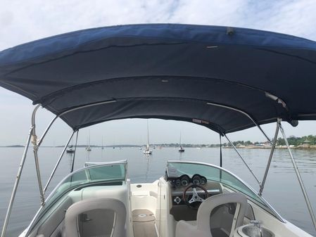 Sea Ray 260 Sundeck image