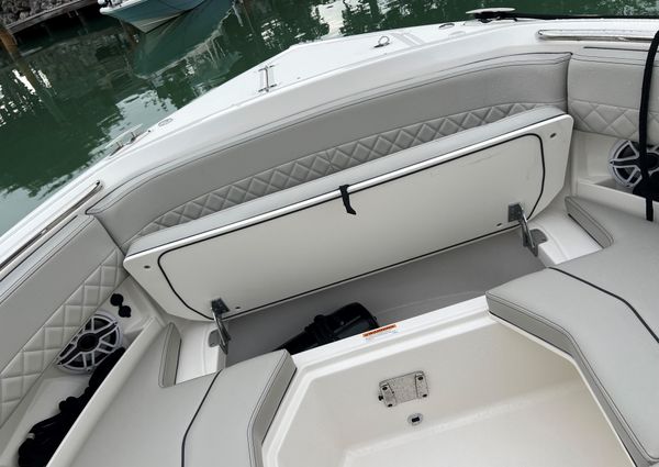 Pursuit DC 295 Dual Console image