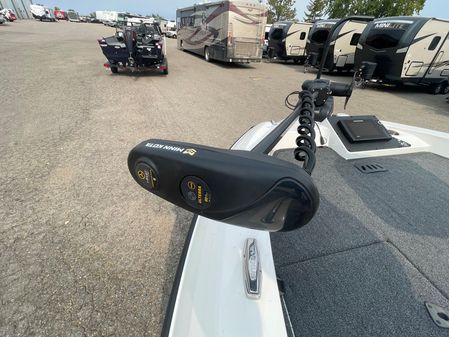 Vexus DVX19 image