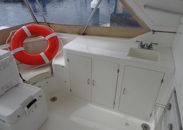 Mckinna 48-PILOTHOUSE image