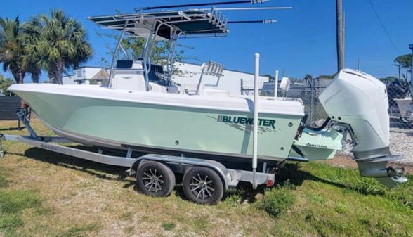 Bluewater Sportfishing 23t image