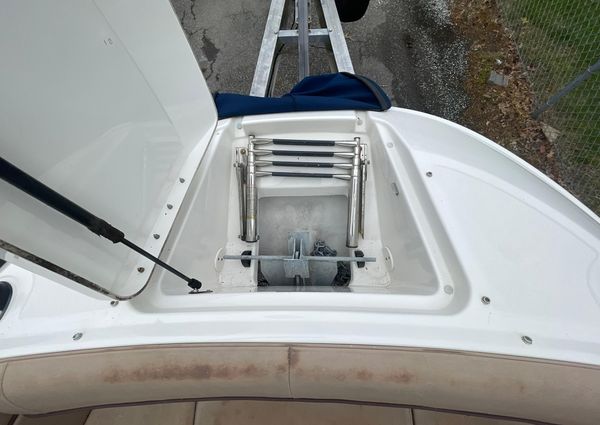 Sea-ray SDX-240-OUTBOARD image