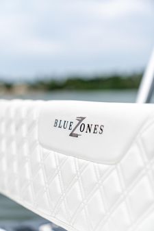 Bluezones-boatworks 16-FLATS image