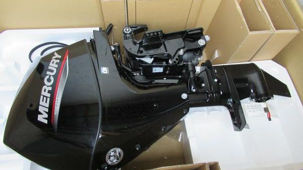 Mercury 25 EPT 