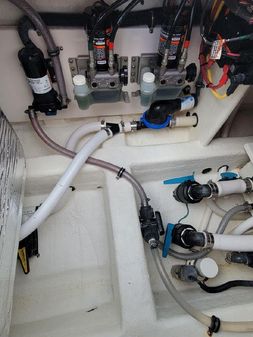 Invincible 46 Catamaran image
