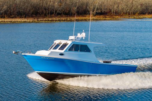 Custom Chesapeake Bay Built 33' image