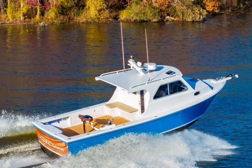 Custom Chesapeake Bay Built 33' image