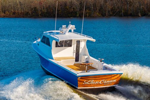 Custom Chesapeake Bay Built 33' image