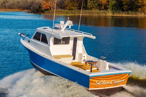 Custom Chesapeake Bay Built 33' image