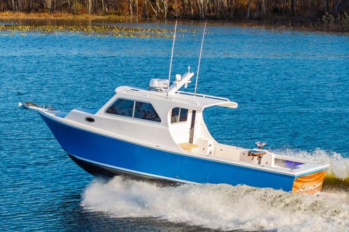 Custom Chesapeake Bay Built 33' image