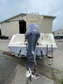 Cobia 220 image