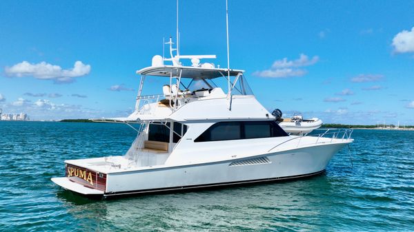 Viking 55 Convertible image