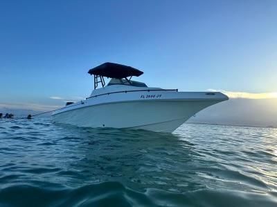 Fountain 29 Sportfish Cruiser 