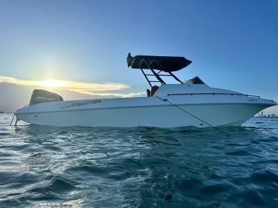 Fountain 29-SPORTFISH-CRUISER image