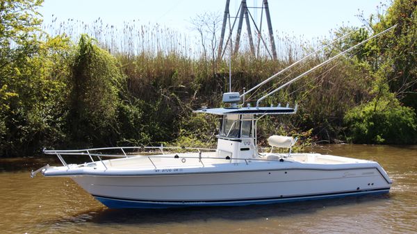 Stamas 290 Tarpon