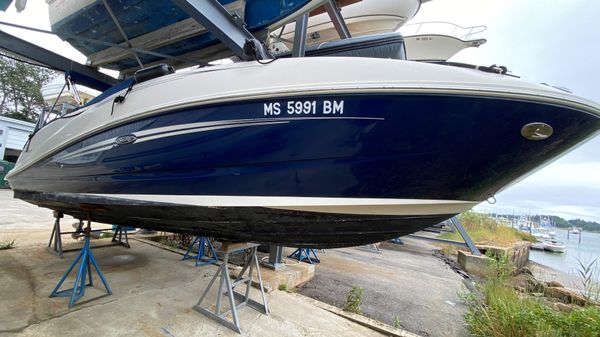 Sea Ray 260 Sundeck