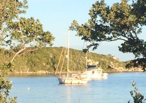 Island Packet 31