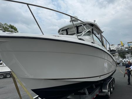 Seaswirl-striper 2901-WALKAROUND-O-B image