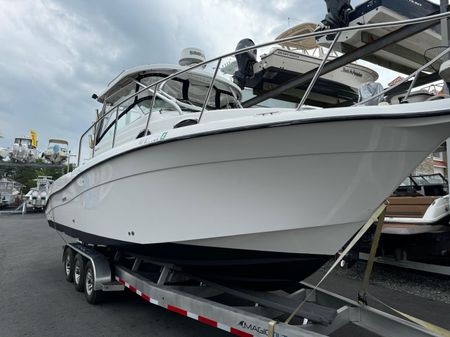 Seaswirl-striper 2901-WALKAROUND-O-B image