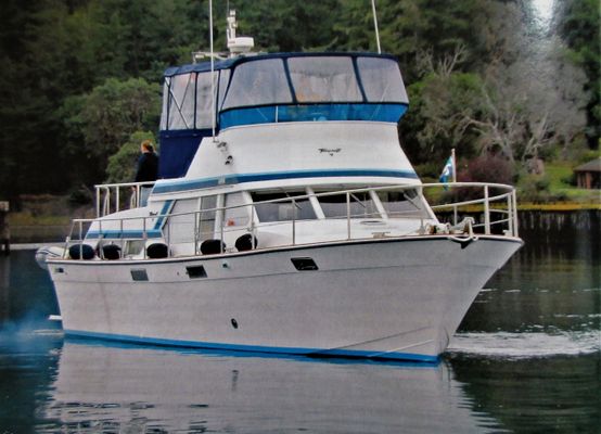Tollycraft Tricabin - main image