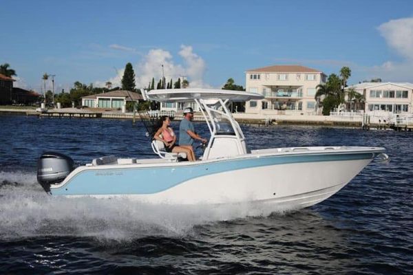 Sea Fox 248 Commander - main image