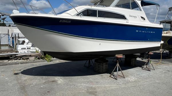 Bayliner 266 Discovery 