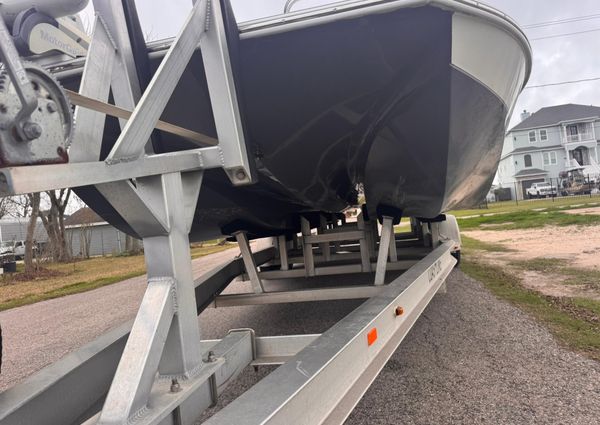 Catalyst 260 Catamaran image