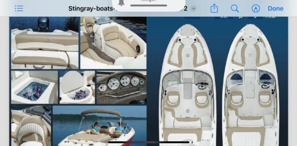 Stingray 208LR image