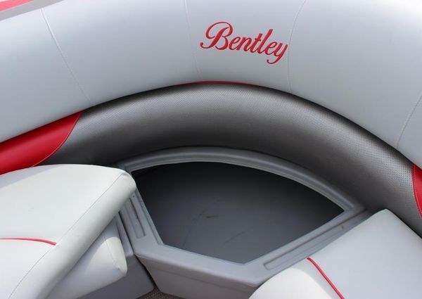 Bentley-pontoons 243-CRUISE-SE image