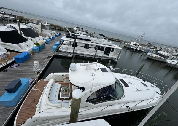 Sea Ray 40 Sundancer image