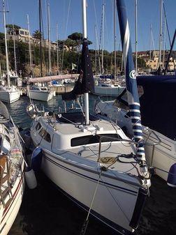 Catalina 250 image