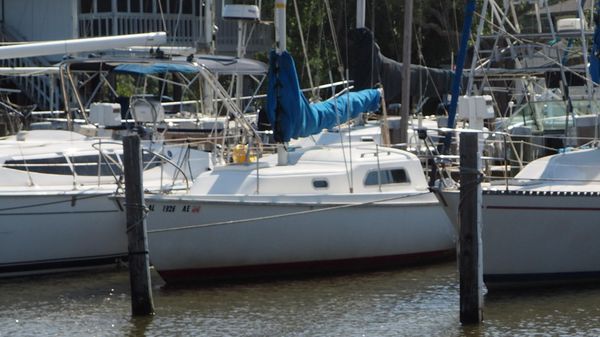 Pearson 26