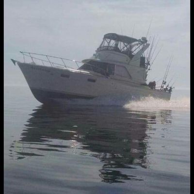Chris-Craft Sportfish - main image