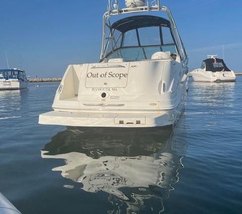 Sea-ray 270-AMBERJACK image