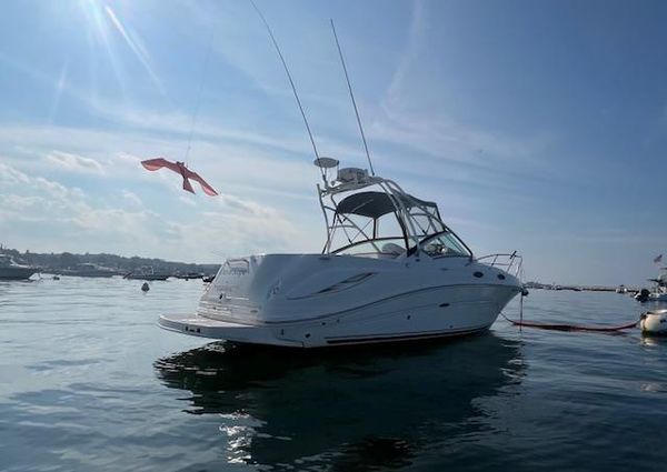 Sea-ray 270-AMBERJACK image