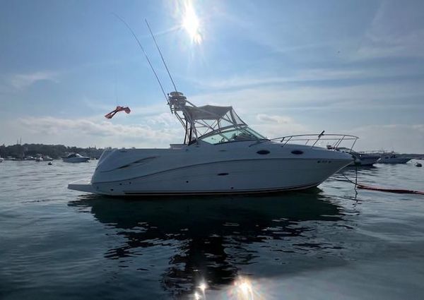 Sea-ray 270-AMBERJACK image