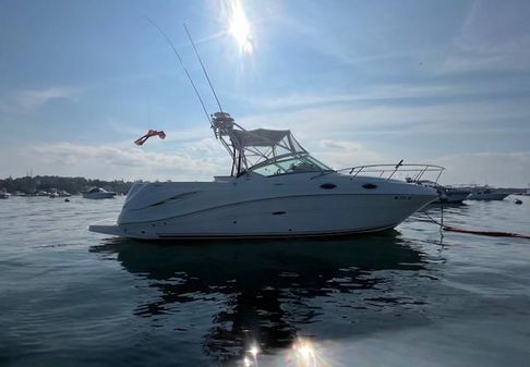 Sea Ray 270 Amberjack image