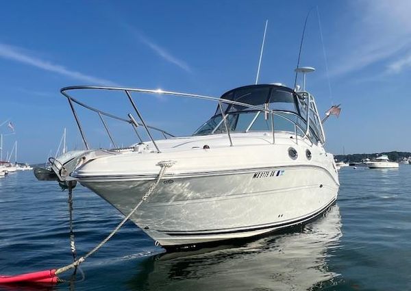 Sea-ray 270-AMBERJACK image