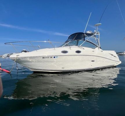 Sea-ray 270-AMBERJACK - main image