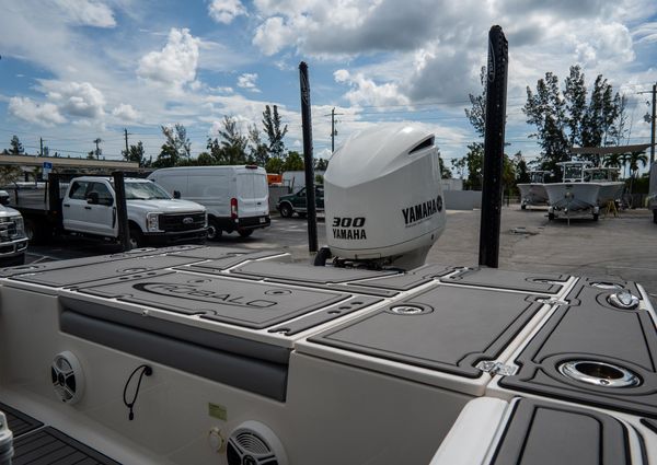 Robalo 246-CAYMAN image